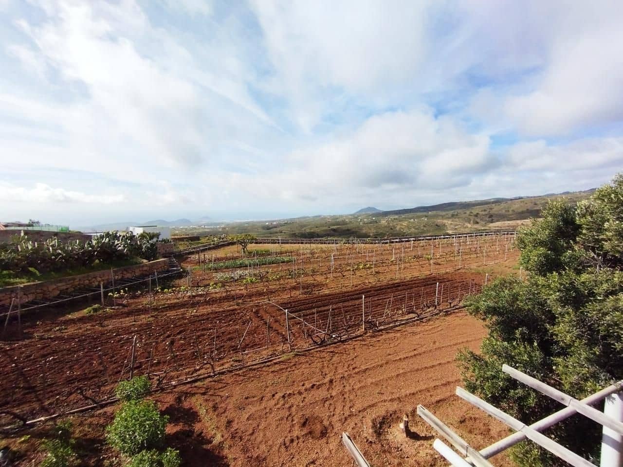 Grunde uden byggetilladelser til salg i El Rio de Arico - € 156.000 (Ref: 8557782)