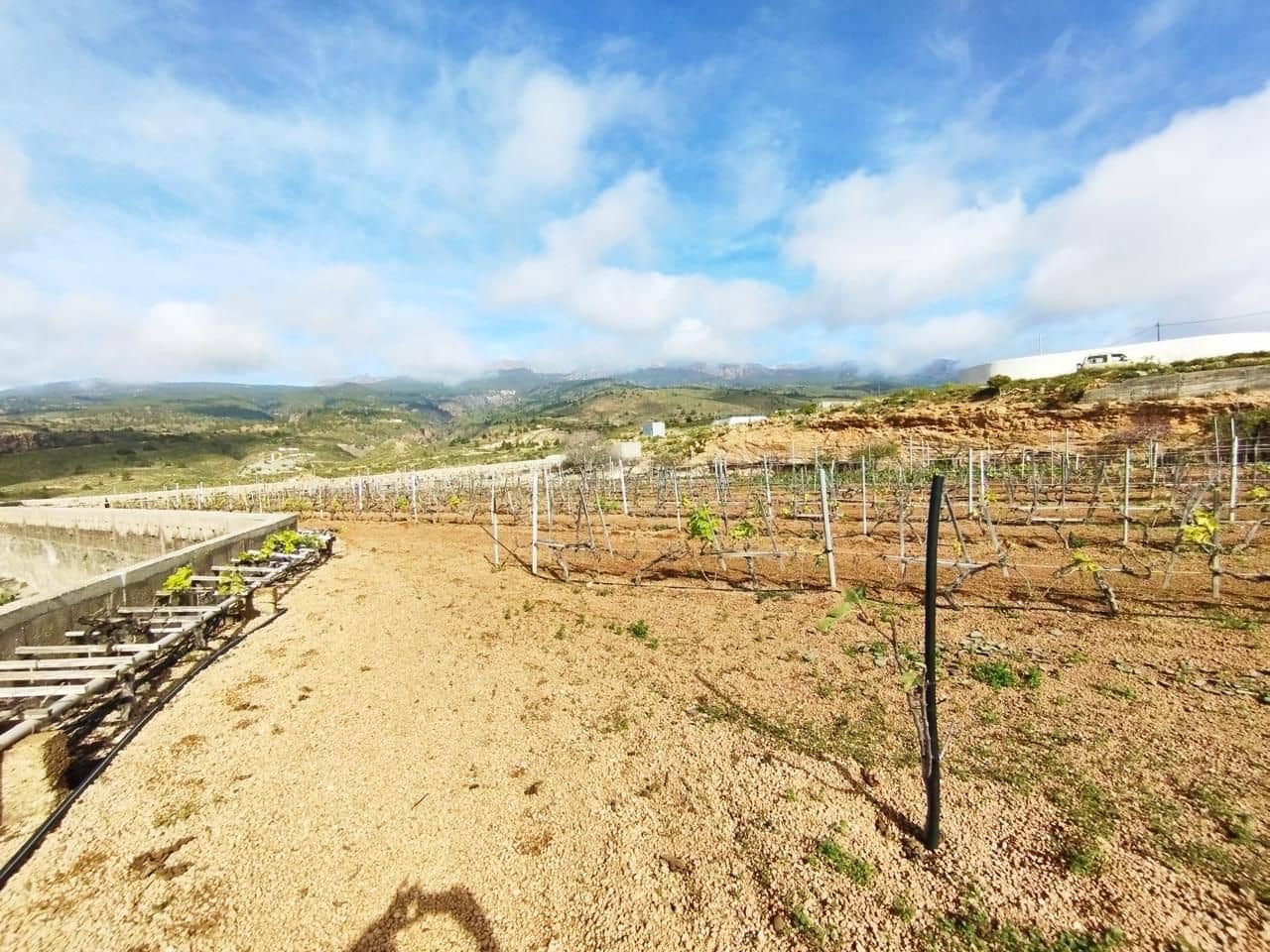 Grunde uden byggetilladelser til salg i El Rio de Arico - € 156.000 (Ref: 8557782)