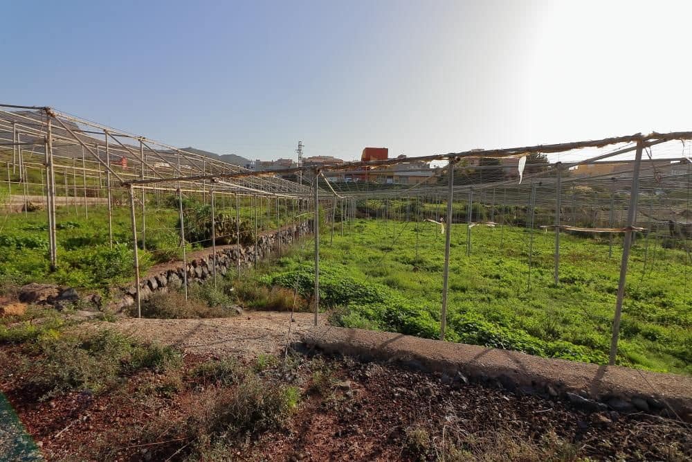 Grunde uden byggetilladelser til salg i Cabo Blanco - € 425.000 (Ref: 8557783)