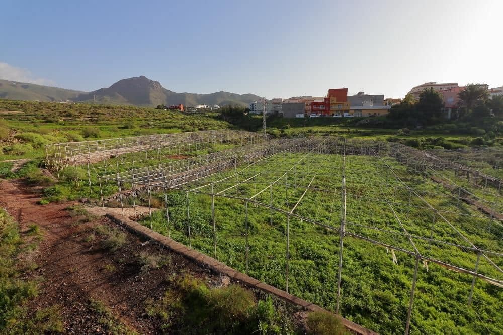 Grunde uden byggetilladelser til salg i Cabo Blanco - € 425.000 (Ref: 8557783)