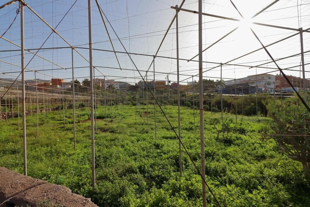 Grunde uden byggetilladelser til salg i Cabo Blanco - € 425.000 (Ref: 8557783)