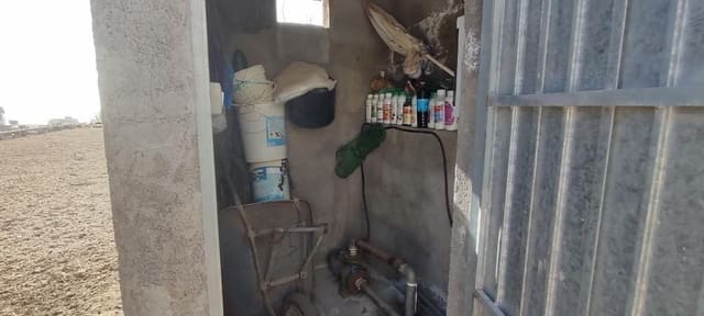 Terre non Aménagée à vendre à Granadilla de Abona - 142 500 € (Ref: 8557784)