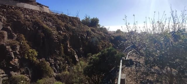 Terre non Aménagée à vendre à Granadilla de Abona - 142 500 € (Ref: 8557784)