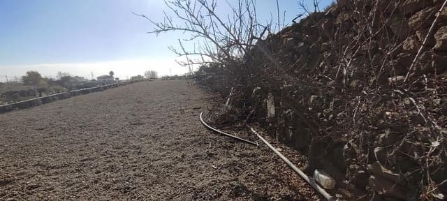 Terre non Aménagée à vendre à Granadilla de Abona - 142 500 € (Ref: 8557784)