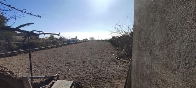 Terre non Aménagée à vendre à Granadilla de Abona - 142 500 € (Ref: 8557784)