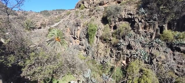 Terre non Aménagée à vendre à Granadilla de Abona - 142 500 € (Ref: 8557784)