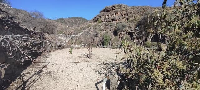 Terre non Aménagée à vendre à Granadilla de Abona - 142 500 € (Ref: 8557784)