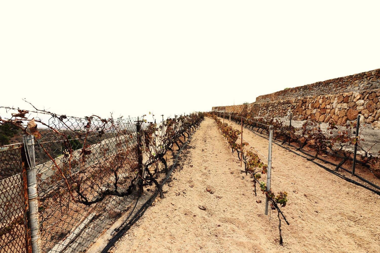 3 quarto Quinta/Casa Rural para venda em Arico El Nuevo - 230 000 € (Ref: 8630332)