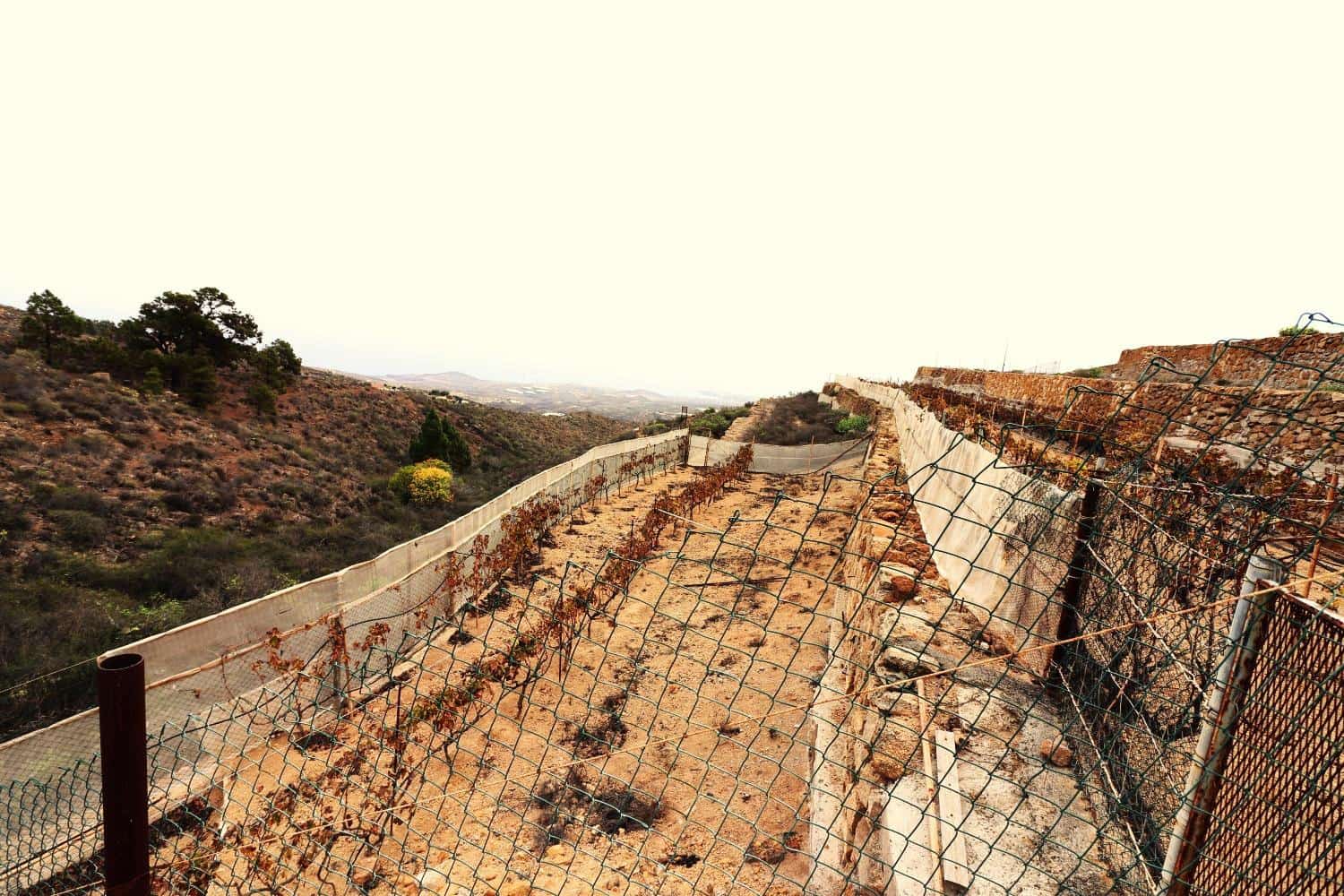 3 quarto Quinta/Casa Rural para venda em Arico El Nuevo - 230 000 € (Ref: 8630332)