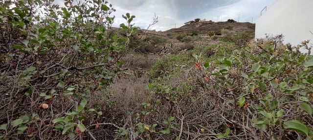 Building Plot for sale in Fasnia - € 70,000 (Ref: 8639316)