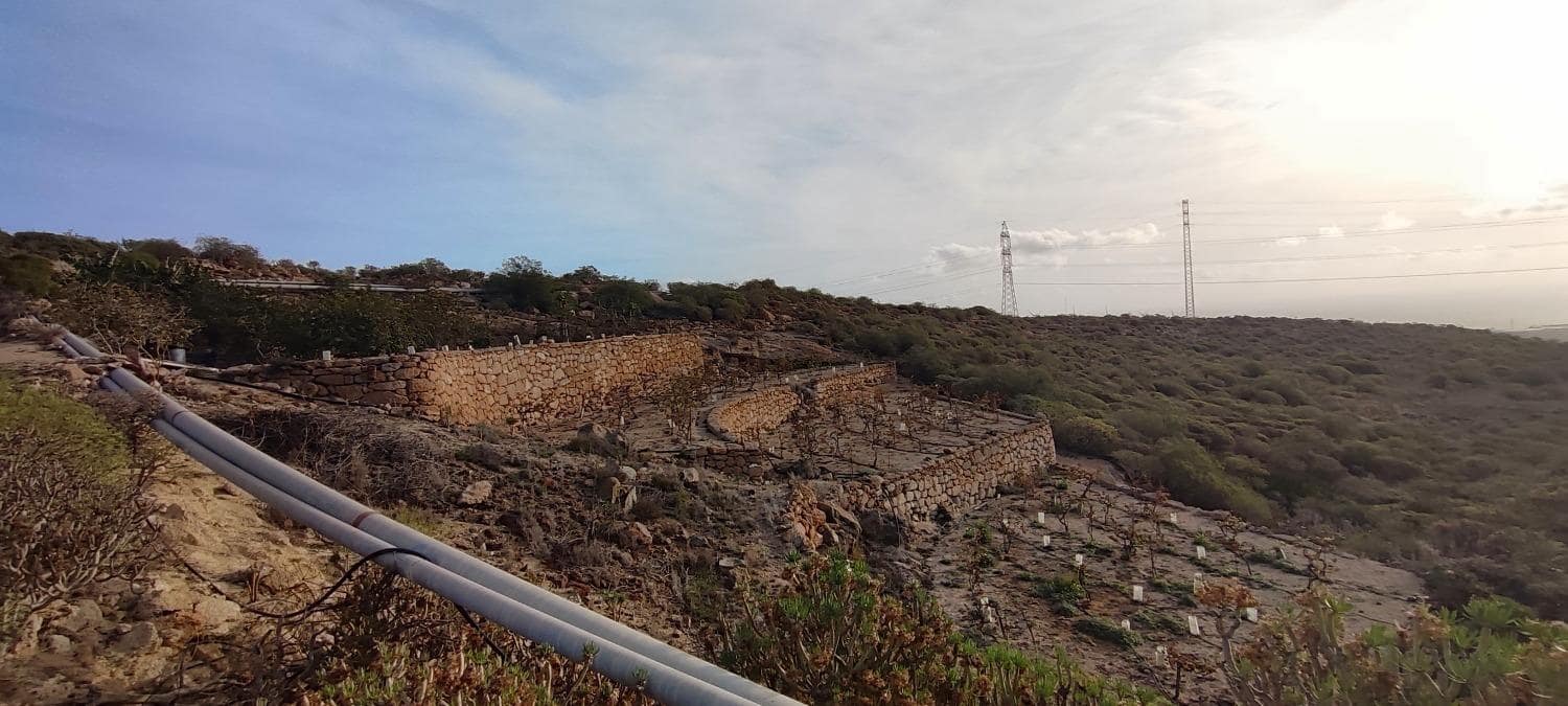 Grunde uden byggetilladelser til salg i Chimiche - € 165.000 (Ref: 8691101)