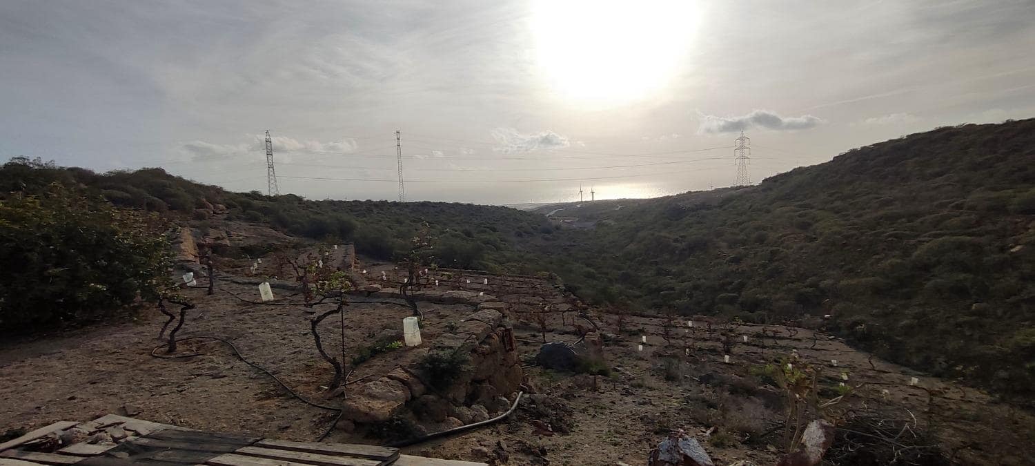 Grunde uden byggetilladelser til salg i Chimiche - € 165.000 (Ref: 8691101)