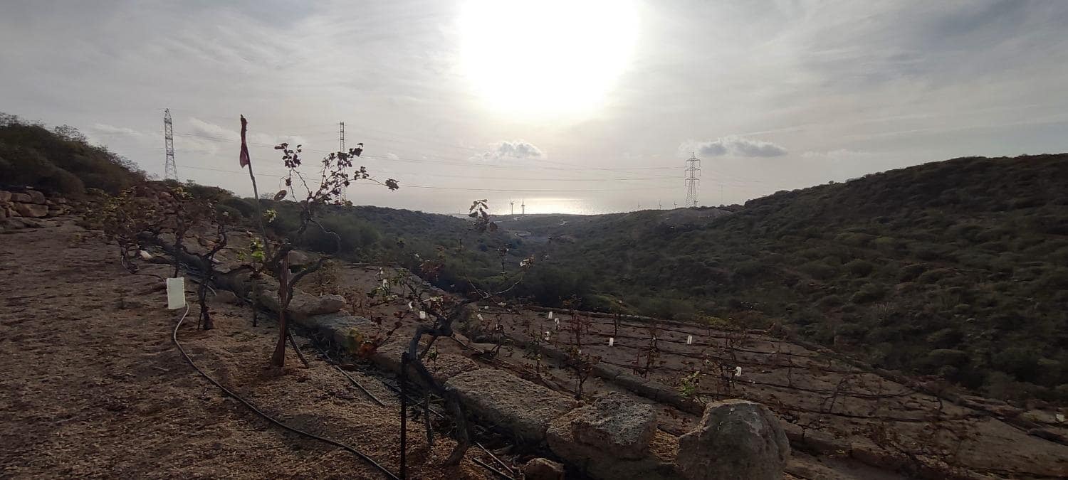 Grunde uden byggetilladelser til salg i Chimiche - € 165.000 (Ref: 8691101)