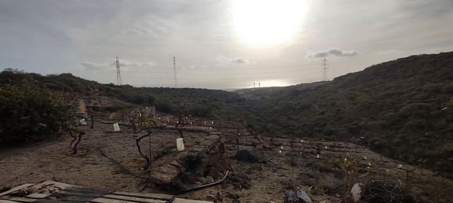 Terre non Aménagée à vendre à Chimiche, Granadilla de Abona - 165 000 € (Ref: 8691101)