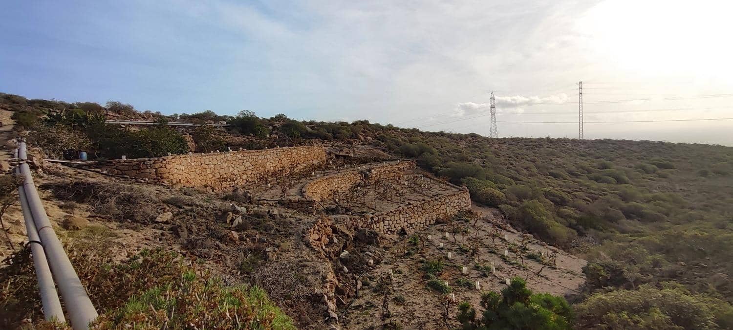 Grunde uden byggetilladelser til salg i Chimiche - € 165.000 (Ref: 8691101)