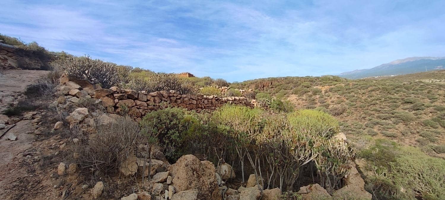 Grunde uden byggetilladelser til salg i Chimiche - € 165.000 (Ref: 8691101)