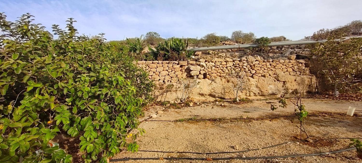 Grunde uden byggetilladelser til salg i Chimiche - € 165.000 (Ref: 8691101)