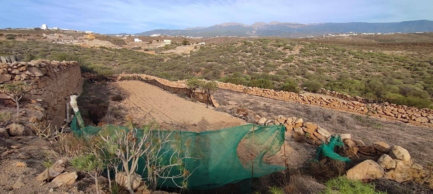 Grunde uden byggetilladelser til salg i Chimiche - € 165.000 (Ref: 8691101)