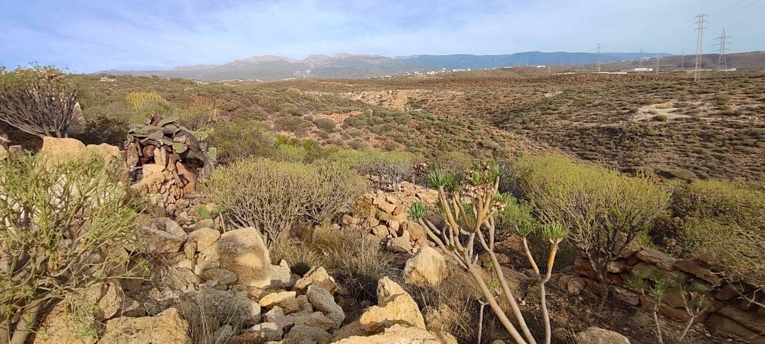 Grunde uden byggetilladelser til salg i Chimiche - € 165.000 (Ref: 8691101)