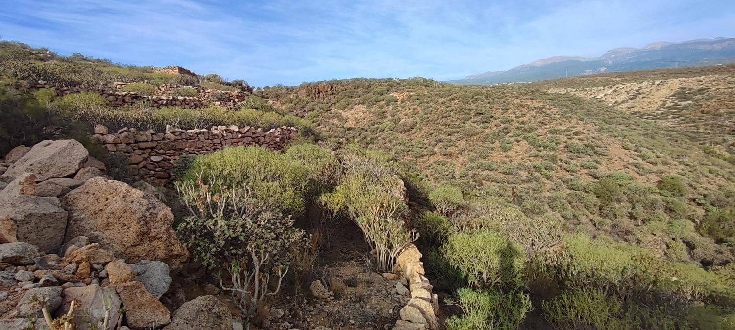 Grunde uden byggetilladelser til salg i Chimiche - € 165.000 (Ref: 8691101)