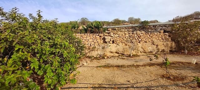 Terre non Aménagée à vendre à Chimiche, Granadilla de Abona - 165 000 € (Ref: 8691101)