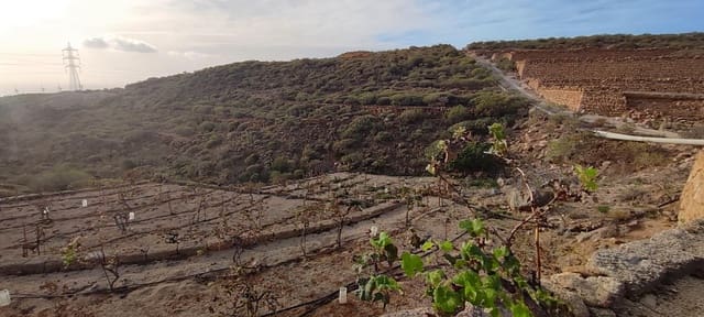 Terre non Aménagée à vendre à Chimiche, Granadilla de Abona - 165 000 € (Ref: 8691101)