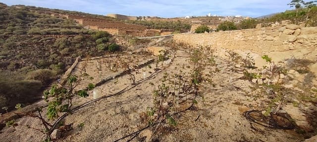 Terre non Aménagée à vendre à Chimiche, Granadilla de Abona - 165 000 € (Ref: 8691101)