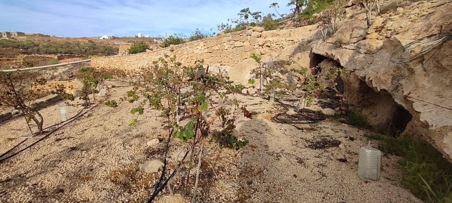 Grunde uden byggetilladelser til salg i Chimiche - € 165.000 (Ref: 8691101)