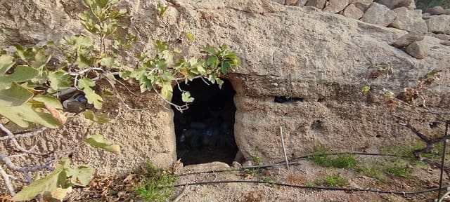 Terre non Aménagée à vendre à Chimiche, Granadilla de Abona - 165 000 € (Ref: 8691101)