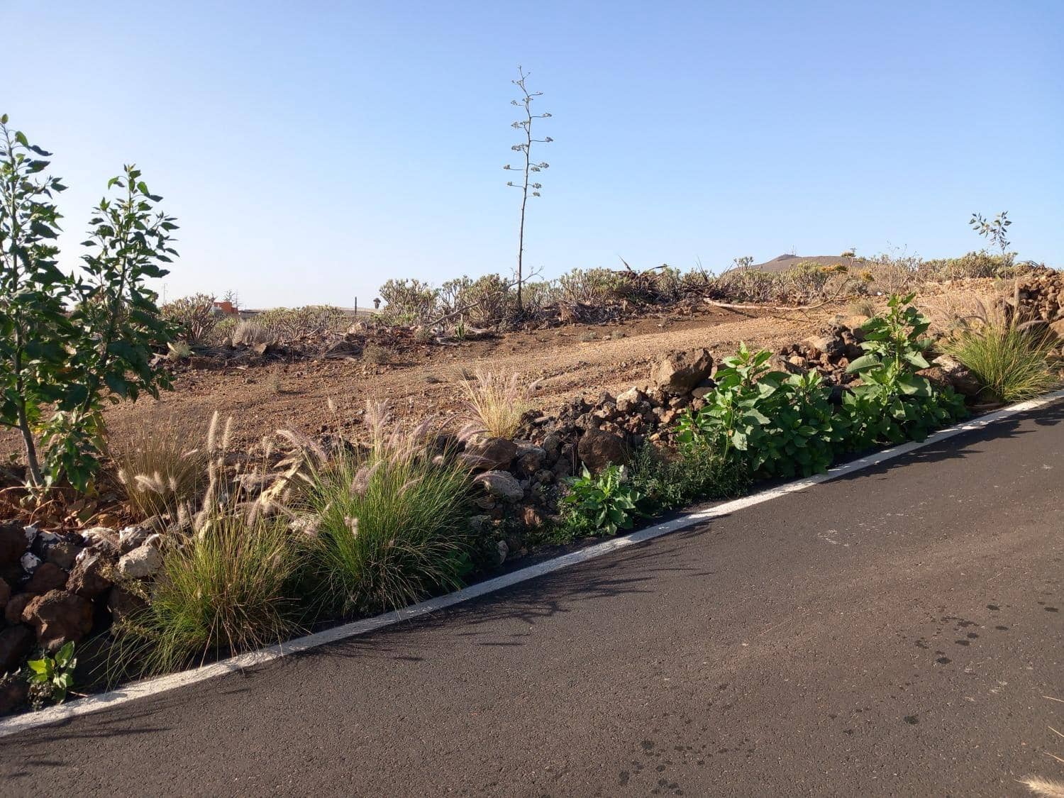 Building Plot for sale in Charco del Pino - € 198,000 (Ref: 8813360)