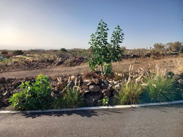 Terrain à Bâtir à vendre à Charco del Pino, Granadilla de Abona - 198 000 € (Ref: 8813360)