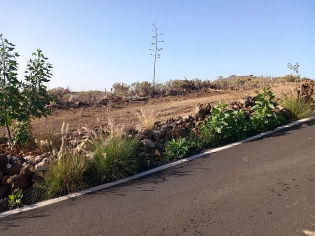Terrain à Bâtir à vendre à Charco del Pino, Granadilla de Abona - 198 000 € (Ref: 8813360)