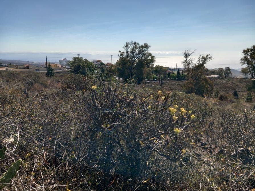 Grunde uden byggetilladelser til salg i Granadilla de Abona - € 157.000 (Ref: 8827530)