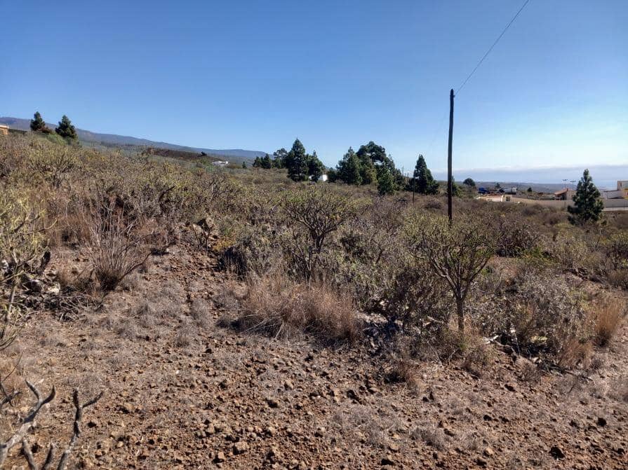 Grunde uden byggetilladelser til salg i Granadilla de Abona - € 157.000 (Ref: 8827530)