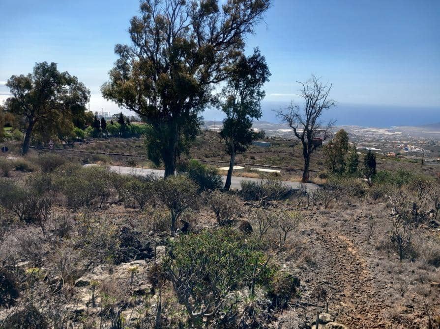 Grunde uden byggetilladelser til salg i Granadilla de Abona - € 157.000 (Ref: 8827530)