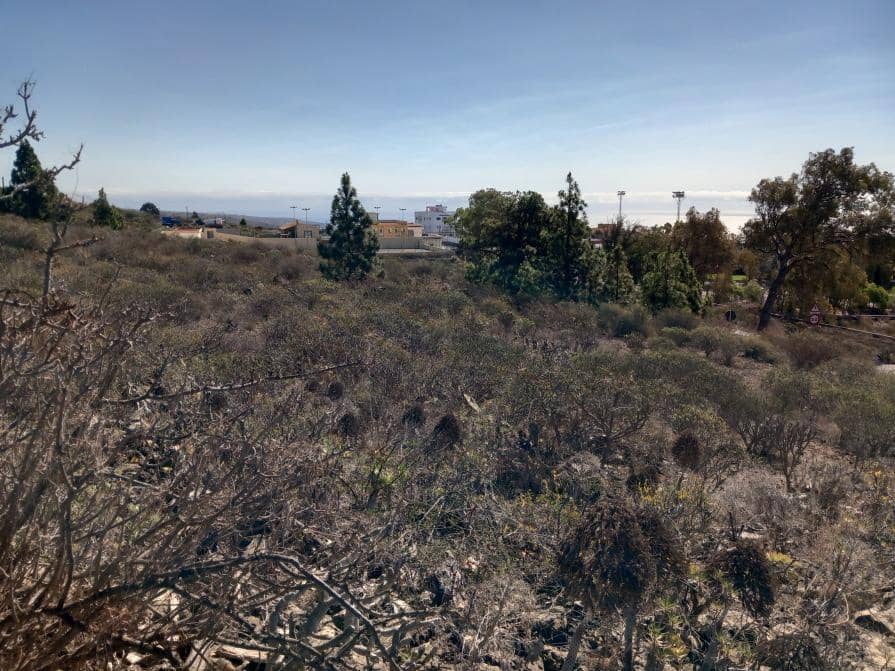 Grunde uden byggetilladelser til salg i Granadilla de Abona - € 157.000 (Ref: 8827530)