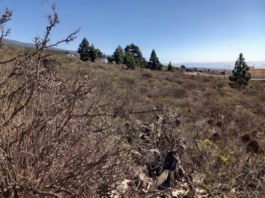 Grunde uden byggetilladelser til salg i Granadilla de Abona - € 157.000 (Ref: 8827530)