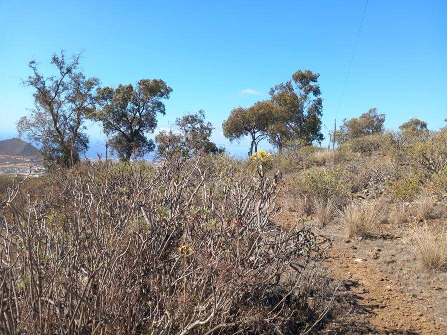 Grunde uden byggetilladelser til salg i Granadilla de Abona - € 157.000 (Ref: 8827530)