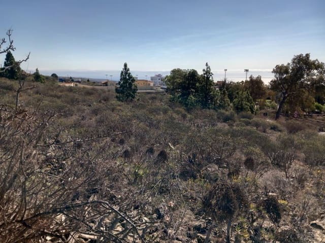 Terre non Aménagée à vendre à Granadilla de Abona - 157 000 € (Ref: 8827530)