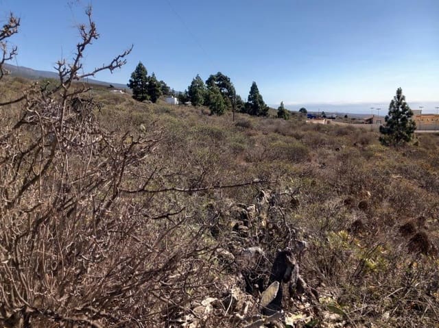 Terre non Aménagée à vendre à Granadilla de Abona - 157 000 € (Ref: 8827530)