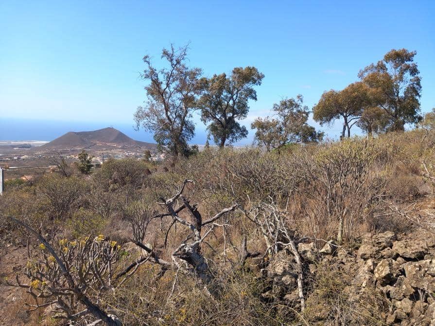 Grunde uden byggetilladelser til salg i Granadilla de Abona - € 157.000 (Ref: 8827530)