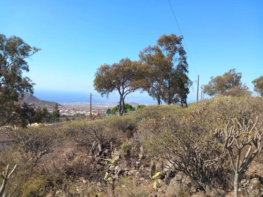 Grunde uden byggetilladelser til salg i Granadilla de Abona - € 157.000 (Ref: 8827530)
