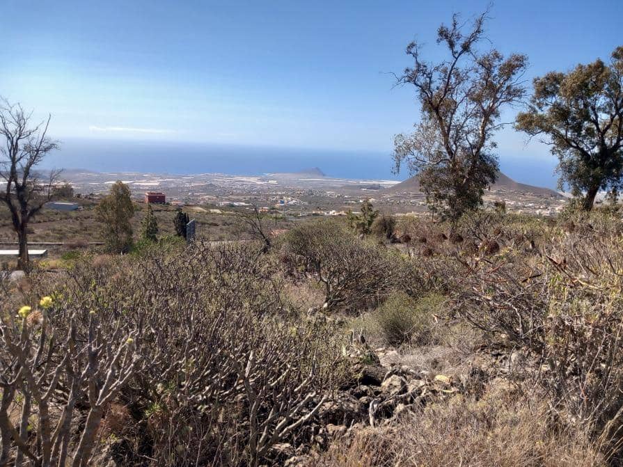 Grunde uden byggetilladelser til salg i Granadilla de Abona - € 157.000 (Ref: 8827530)