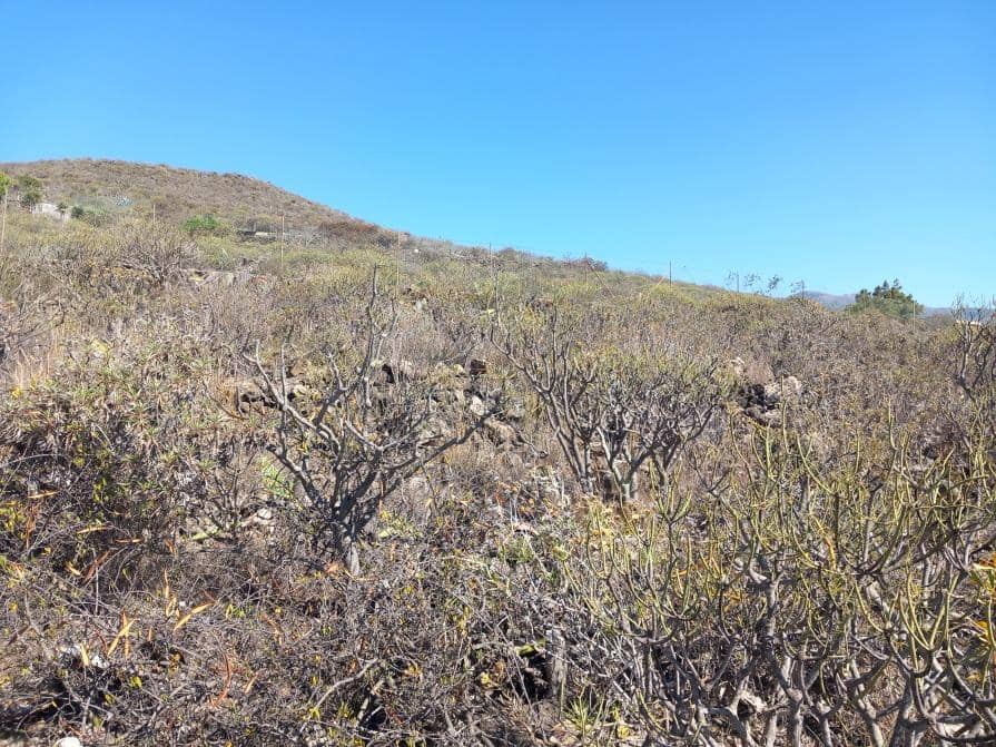 Grunde uden byggetilladelser til salg i Granadilla de Abona - € 157.000 (Ref: 8827530)