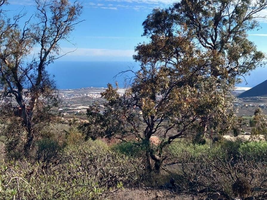 Grunde uden byggetilladelser til salg i Granadilla de Abona - € 157.000 (Ref: 8827530)