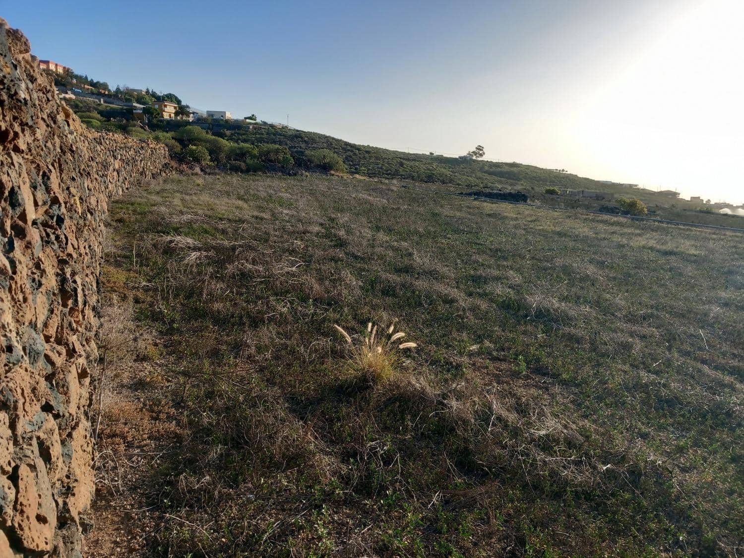 Bauplatz zu verkaufen in Charco del Pino - 260.000 € (Ref: 8827531)