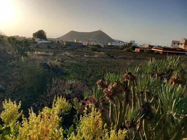 Terrain à Bâtir à vendre à Charco del Pino, Granadilla de Abona - 260 000 € (Ref: 8827531)