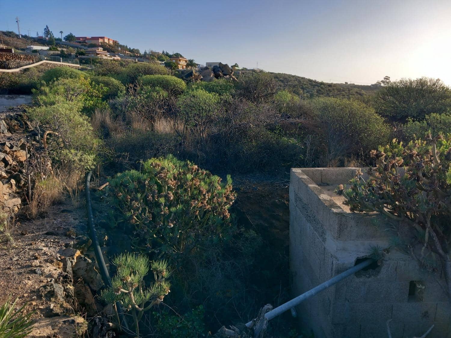 Bauplatz zu verkaufen in Charco del Pino - 260.000 € (Ref: 8827531)