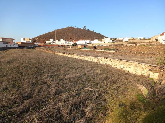 Terrain à Bâtir à vendre à Charco del Pino, Granadilla de Abona - 260 000 € (Ref: 8827531)