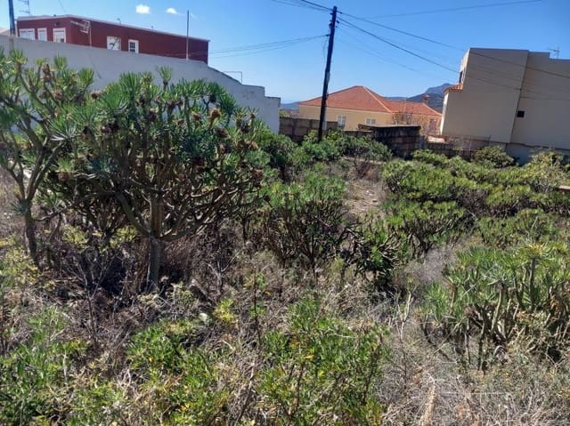 Terrain à Bâtir à vendre à Charco del Pino, Granadilla de Abona - 92 000 € (Ref: 8827532)